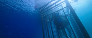 47 metri: un'immagine del film