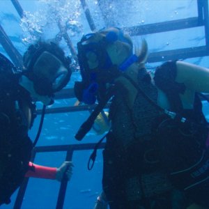 47 metri: Claire Holt e Mandy Moore in un momento del film