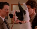 Twin Peaks: i protagonisti rivelano i loro momenti preferiti