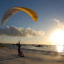 Aldabra - C'era una volta un'isola: un'immagine del documentario
