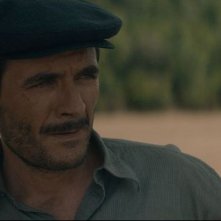 Mal di pietre: Alex Brendemühl in una scena del film