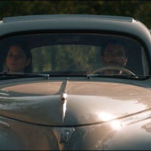 Mal di pietre: Alex Brendemühl e Marion Cotillard in una scena del film
