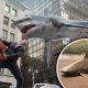 Sharknado diventa realtà: in Australia piove uno squalo dal cielo dopo il ciclone (VIDEO)