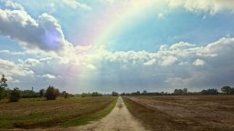 Indizi di felicità - Teaser