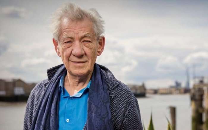 Harry Potter, Ian McKellen: "Ecco perché ho rifiutato la parte di Silente"