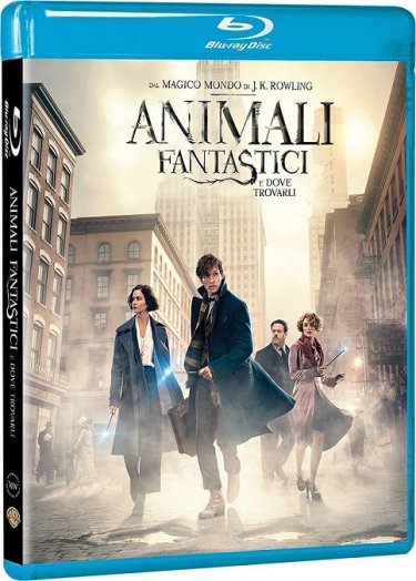 Il blu-ray di Animali fantastici e come trovarli