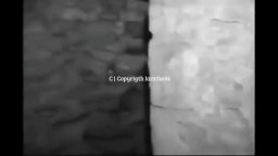 The Blair Witch Project - Alternate Ending