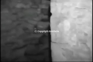 The Blair Witch Project - Alternate Ending