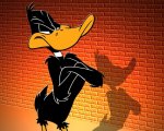 Daffy Duck, 80 anni da star: l’evoluzione del mitico papero nero
