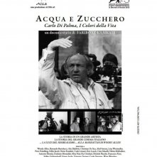 Locandina di Acqua e zucchero - Carlo Di Palma: i colori della vita