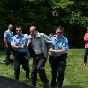 Wilson: Woody Harrelson portato via dalla polizia in una scena del film