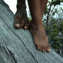 Alamar: un'immagine tratta dal documentario