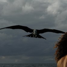 Alamar: un'immagine del documentario