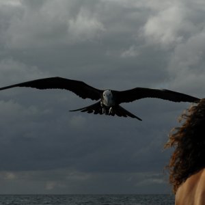 Alamar: un'immagine del documentario