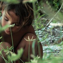 Alamar: un'immagine del documentario messicano