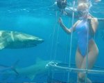 La pornostar e lo squalo: che spavento le riprese sott'acqua!