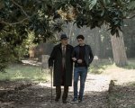 Tutto quello che vuoi, una passeggiata tra i ricordi sottobraccio ad un poeta