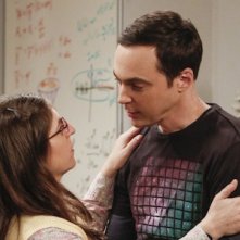 The Big Bang Theory: Jim Parsons e Mayim Bialik nel finale della decima stagione