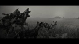 Wonderstruck   Museum Chase Clip