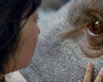 Okja: il primo poster svela la creatura mostruosa al centro del film di Bong Joon-ho