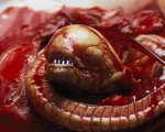 Alien, diventare uno xenomorfo è possibile, secondo un senatore repubblicano: tutta colpa dei gamberetti