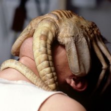 Alien: il facehugger 