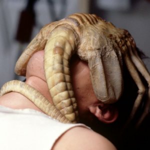 Alien: il facehugger 