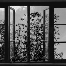 24 Frames: un'immagine del film