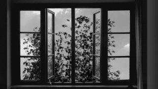 24 Frames: un'immagine del film