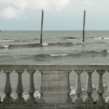 24 Frames: un'immagine del film