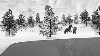 24 Frames: un'immagine del film
