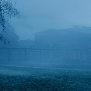 12 days: una foto del documentario