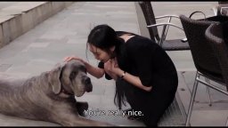 Claire's Camera - Trailer