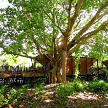 Demons in Paradise: un'immagine del film