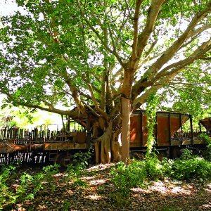 Demons in Paradise: un'immagine del film