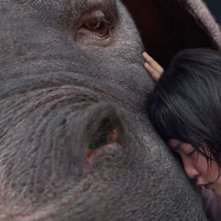 Okja, una scena del film