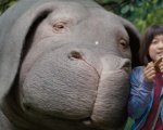 Okja, la favola ecologista di Netflix che può diventare un nuovo classico