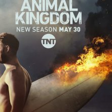 Animal Kingdom: la locandina della seconda stagione