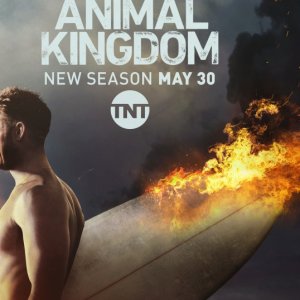 Animal Kingdom: la locandina della seconda stagione