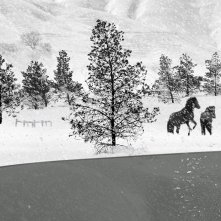 24 Frames - una scena dell'ultimo film di Kiarostami