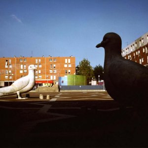 Robert Doisneau - La lente delle meraviglie: un'immagine tratta dal documentario