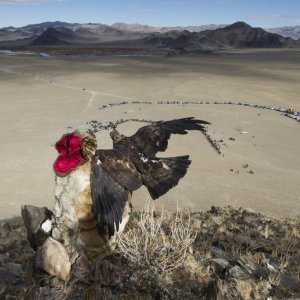 La principessa e l'aquila: Nurgaiv Rys in un momento del documentario