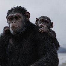 The War - Il pianeta delle scimmie: una scena del film di Matt Reeves