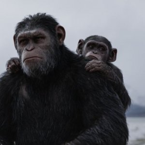 The War - Il pianeta delle scimmie: una scena del film di Matt Reeves