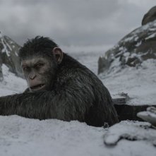 The War - Il pianeta delle scimmie: un'immagine del film diretto da Matt Reeves