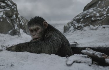 The War - Il pianeta delle scimmie: un'immagine del film diretto da Matt Reeves