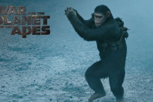 War for the Planet of the Apes - Spot 'Fight'
