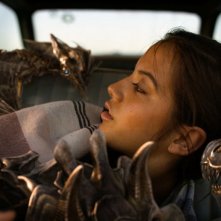 Transformers - L'ultimo cavaliere: Isabela Moner in una scena del film