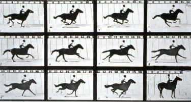 images/2017/06/16/muybridge_horse_01.jpg