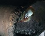 It: l'adattamento di Stephen King ottiene il rating R!